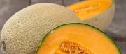 Melon